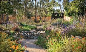 Check spelling or type a new query. 10 Best Landscaping Plants For San Diego Climate