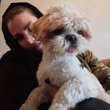 زهره ترابی؛ مربی سگ‎ (@zohreh_torabipet) • Instagram photos and videos