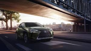 Image result for Nori Green 2019 UX