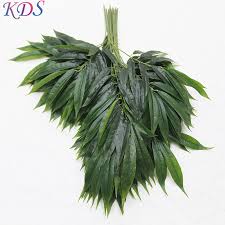 Maybe you would like to learn more about one of these? Artificial Bamboo Leaves For Home Decoration Green Plant Leaf For Outdoor Green Plastic Simulation Tree Buy Bamboo Plants For Sale Simulation Tree Product On Alibaba Com