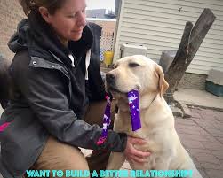 Here at smart paws we take hiring pet sitters and dog walkers very seriously. Canine Sports Dog Training Chicago