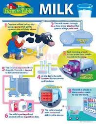 From Farm To Table Milk Chart From Trend T 38198 From Farm To Table Farm Chart