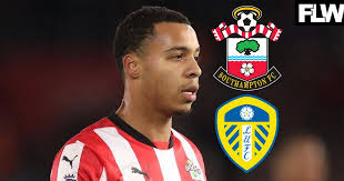 Exclusive: Fresh Cameron Archer twist emerges as Leeds United push to sign  Southampton ace