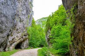 Maybe you would like to learn more about one of these? Nationalpark Piatra Craiului Rumanien Franks Travelbox
