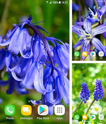 4.4.22 apk 80240022 october 2, 2014. Android 4 4 4 Live Wallpapers Free Download Live Wallpapers For Android 4 4 4 Tablet And Phone Page 13