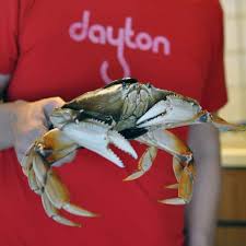 I have always hated to toss a live crab into a boiling pot of water or steam! How To Cook Crab At Home A Step By Step Guide Turntable Kitchen