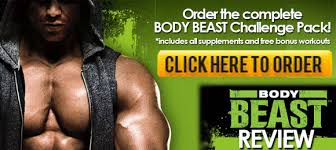 body beast build chest and tris review