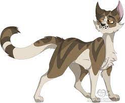 At first leafstar tells billystorm that they can't be mates.but in the end of skyclan's destiny leafstar decides skyclan has it's own rules.and one of. Leafstar Hashtag On Twitter