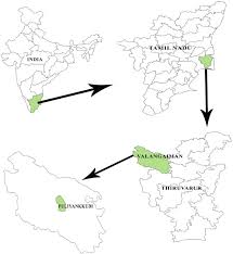 Human body parts name in tamil and english with images. Integration Of Traditional Herbal Medicines Among The Indigenous Communities In Thiruvarur District Of Tamil Nadu India Sciencedirect