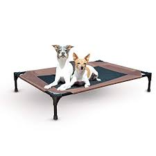 Chewing is a natural behavior. 5 Best Chew Proof Dog Beds For Rough Chewers