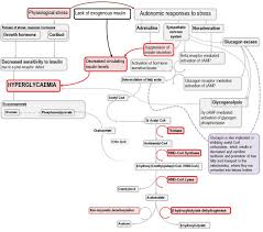 Mechanism Of Ketosis In Dka Diabetic Ketoacidosis Metabolic Acidosis Diabetes Diagnosis