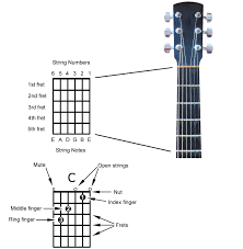This diagram of an electric guitar shows it's main composite parts. How To Read A Chord Diagram And Other Chord Notation Guitarhabits Com