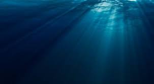 Light Under Water Ocean Underwater Underwater Wallpaper Underwater