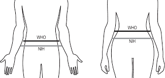 4.4 out of 5 stars. Waist Circumference Measurement Sites For Men And Women Based On World Download Scientific Diagram