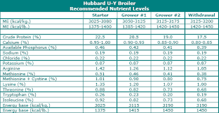 feeding the yield type broiler for optimum performance the
