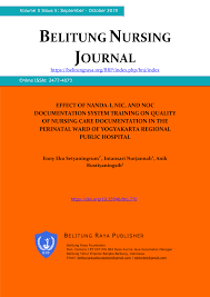 Pdf Effect Of Nanda I Nic And Noc Documentation System Training On Quality Of Nursing Care Documentation In The Perinatal Ward Of Yogyakarta Regional Public Hospital