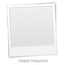 Livros encontrados sobre Anna Amelia De Queiroz Carneiro De Mendonca