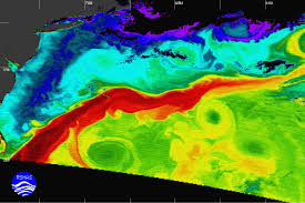 As the united kingdom's met office explains, it is a large system of ocean currents that carry warm water from the tropics northwards into the north atlantic, like a conveyor belt. Modeling What Would Happen To The Uk If The Gulf Stream Shuts Down Ars Technica