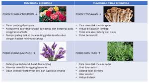 Pokok yang berbunga lebat dan sangat disukai kelulut.semoga video ini memberi manfaat kepada kita semua. Sains Tahun 2 Pengkelasan Tumbuhan Flip Book Pages 1 4 Pubhtml5