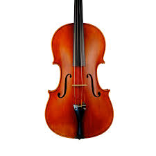 Image result for Viola