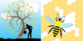 ¿qué alternativa prefieres para recordarte sobre capital abeja emprende? Atencion El Lunes Parten Postulaciones A Los Fondos Capital Abeja Y Semilla