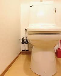 2017 03 06我が家のトイレ様 神々しい まりおんちゃん ma on のめっちゃ楽しませていただいた週末のliveで拝見した浮かせ収納 参考にさせていただきました 予告なく真似してごめんなさい よく見てくださいね 浮いてますから 影ある 収納