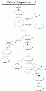 Cellular Respiration Concept Map Photosynthesis Photosynthesis Concept Map Biology Classroom Biology Lessons Cellular Respiration