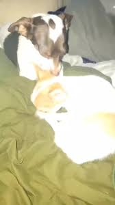 Melissa Sullins (@melissasullins420)