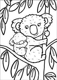 koala imprimer coloriage a pour les enfants cp15291 zoo animal coloring pages free kids de motif chinois gratuit