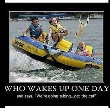 That S Gotta Be The Best Pirate I Ve Ever Seen So It Would Seem Pin By Deborah Syverson On Yep Funny Jokes Funny Pictures Funny Pictures Fails
