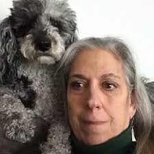 Petsmart Dyer, IN 46311