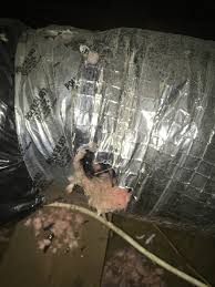 Metal type ducts take time, have lots of seams that have to be taped and then the ducts still have to be insulated. Rat Removal Trapping And Exclusion