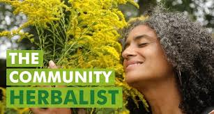 Amanda David: Herbalist Bringing Medicine to the People!