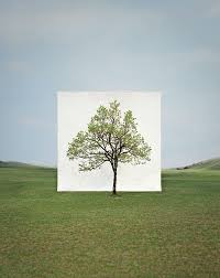 Treescapes Art Korean Artist Canvas Background