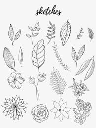 Large framed art prints & framed canvas prints. Free Botanical Drawings For Bullet Journaling Bullet Journal Line Drawing Png Image Transparent Png Free Download On Seekpng