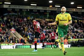 Ihr persönliches lieblingsfoto gedruckt auf einem echten fotopuzzle. Teemu Pukki Set To Stay With Norwich Despite Premier League Interest The Mail