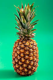 Image result for Ananas