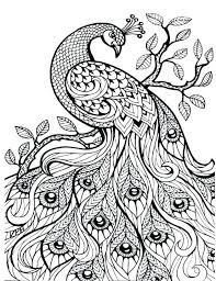 Male ducks can be red, white, and gray. 30 Totally Awesome Free Adult Coloring Pages The Quiet Grove