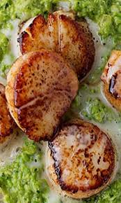 Seared Scallops Beurre Blanc And Pesto Pea Puree Recipe Shellfish Recipes Scallop Recipes Seafood Recipes