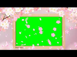  Green Screen Tela Romantica 4k Effects Petalas De Rosa Chromakey Youtube Green Screen Backgrounds Greenscreen Chroma Key