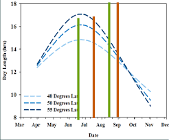 Soybean Planting Date And Maturity Group Considerations