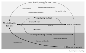 Insomnia Disorder And Its Reciprocal Relation With Psychopathology Sciencedirect