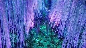 A huge, luminescent tree that is believed to be a direct line to eywa. Welcome To The Tree Of Voices Avatar