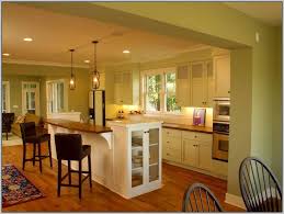 kitchen kitchen color ideas with light