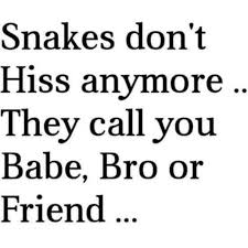 Snakes Don T Hiss Anymore They Call You Babe Bro Or Friend Fake Friend Quotes Fake Friends Quotes Betrayal Fake People Quotes
