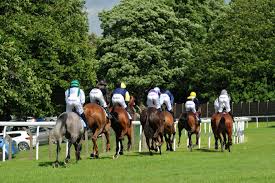 Heading Away From The Stands Racecourse Pontefract Horses