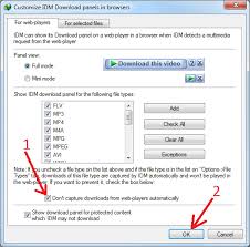 Idm Starts Downloading Video Automatically When I Start Playing It In A Browser How To Avoid This