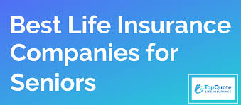 Term life or whole life insurance? Seniors Work From Home Quotes Best Life Insurance For Seniors Companies Coverage Options Rates Dogtrainingobedienceschool Com