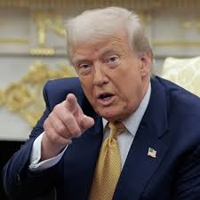 Paul Thomas Anderson Profile