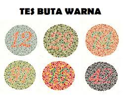 Tes Buta Warna Warna Cara Menggambar Gambar